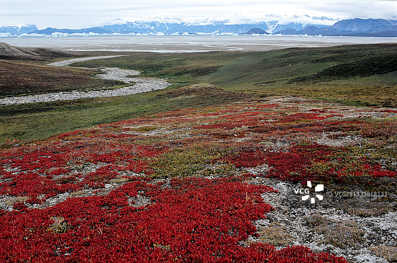 斯科斯比松底部图片素材