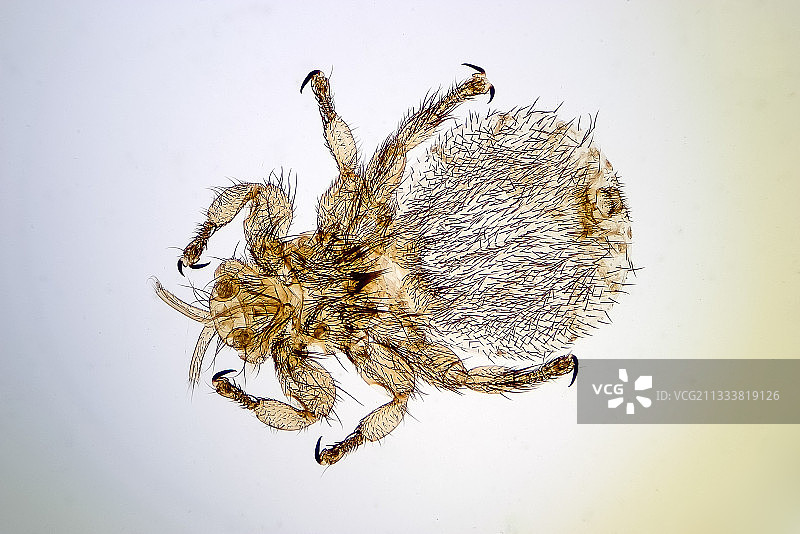 放大10倍图片素材