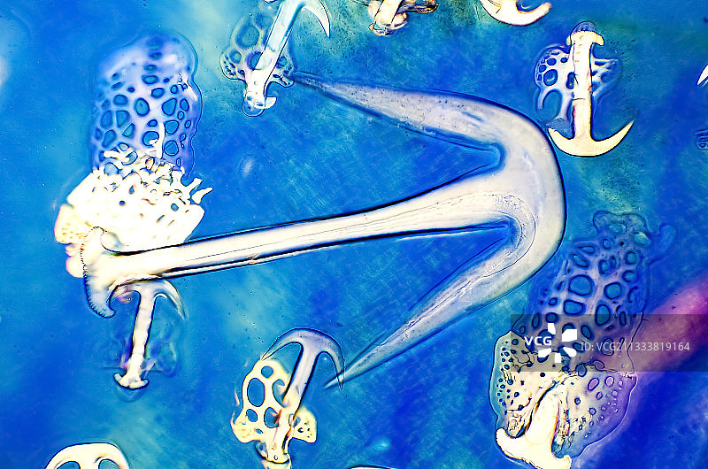 放大100倍图片素材