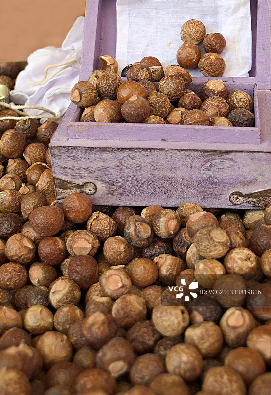 用于洗涤的印度无患子图片素材