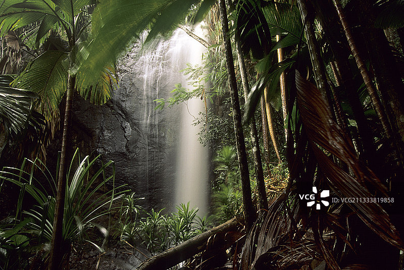 塞舌尔普拉兰岛五月谷森林中的瀑布图片素材