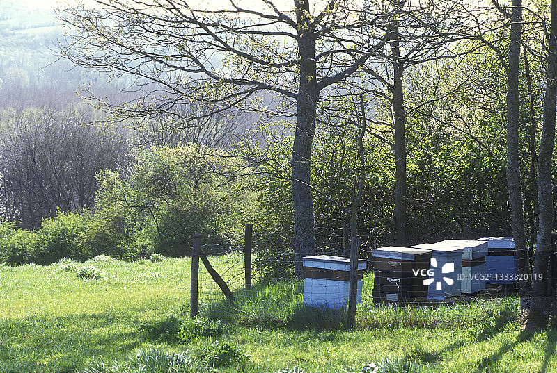 法国卢瓦雷省瓦讷河谷的蜂箱图片素材