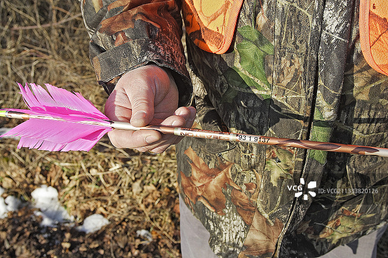 法国鸟类弧形箭头上数字图片素材