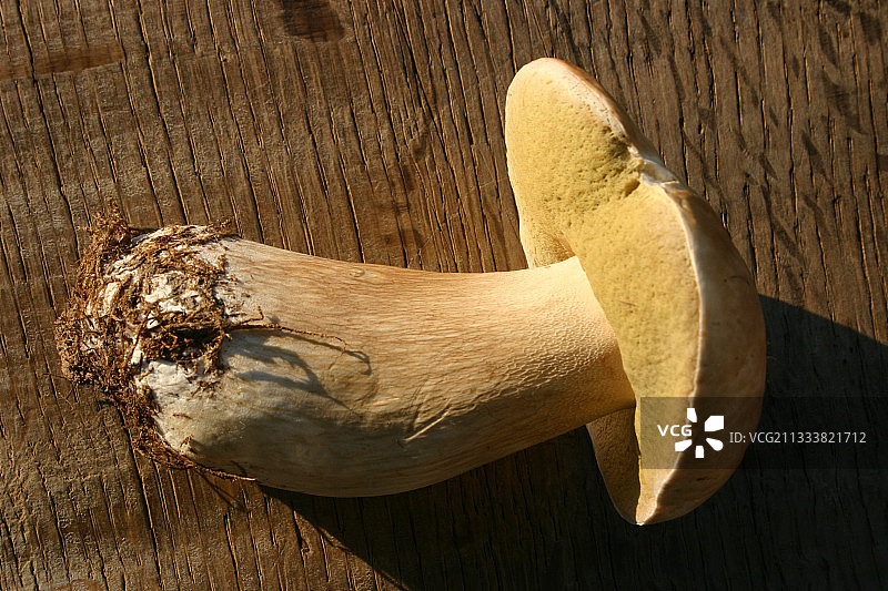 法国迪南桌子上的美味牛肝菌图片素材