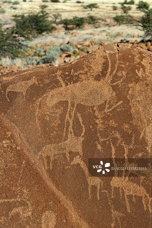 纳米比亚特维费尔泉的岩画动物雕刻图片素材