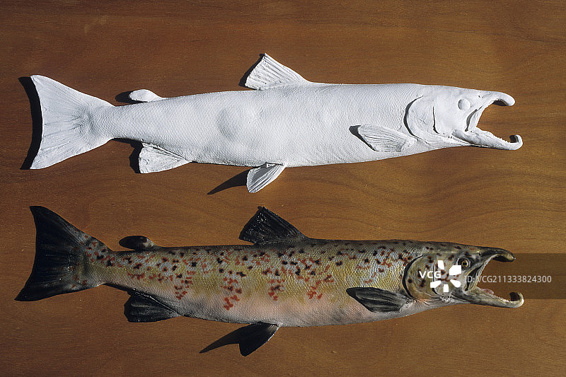 模具（雕塑）图片素材