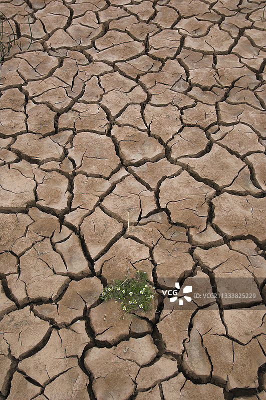 萨拉戈萨埃尔普拉内隆干燥的绵羊喂食槽图片素材