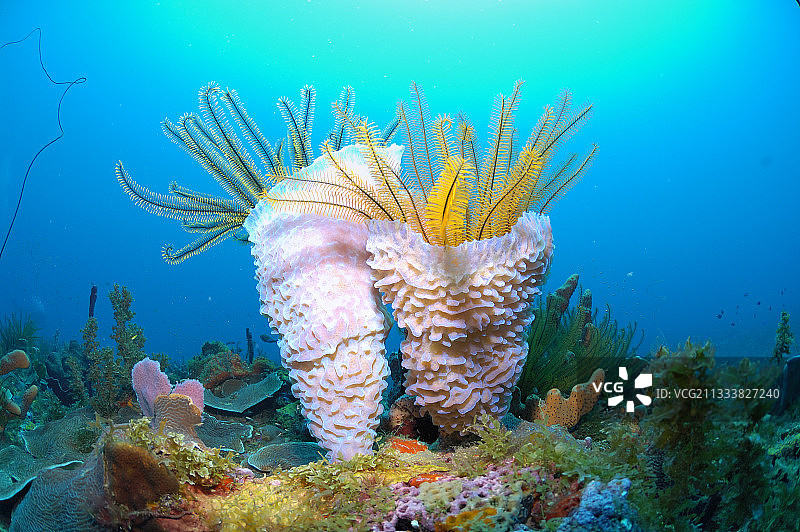 30米深度图片素材