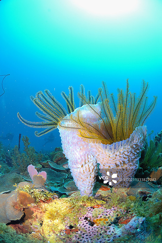 30米深度图片素材