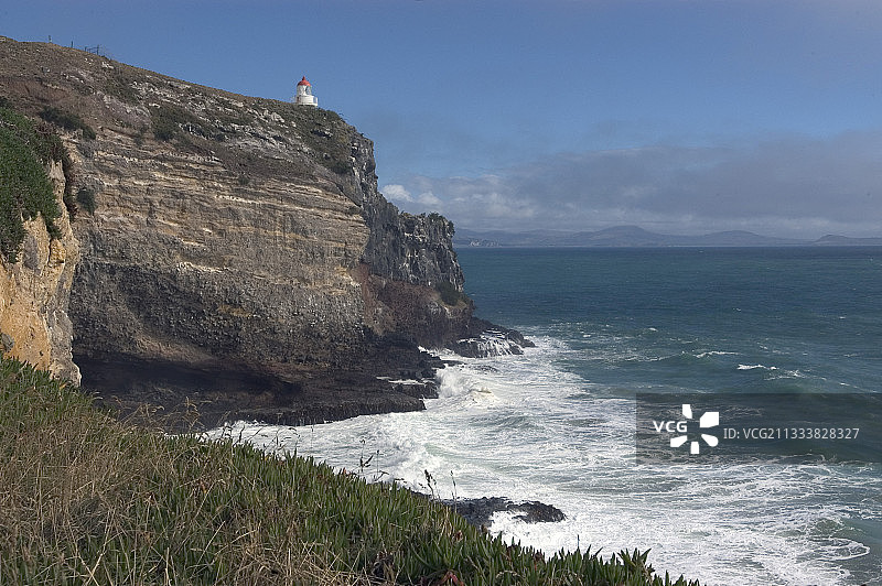 受保护的信天翁繁殖地图片素材