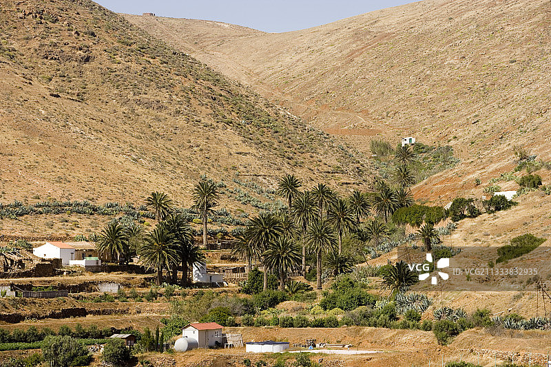 富埃特文图拉山谷底部的农业文化图片素材