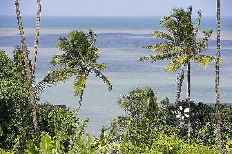 以前的流放地图片素材