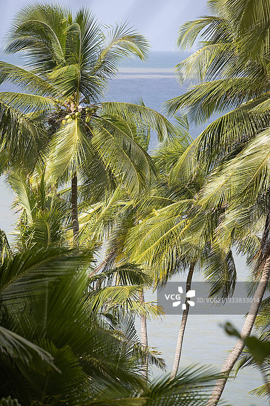 以前的流放地图片素材