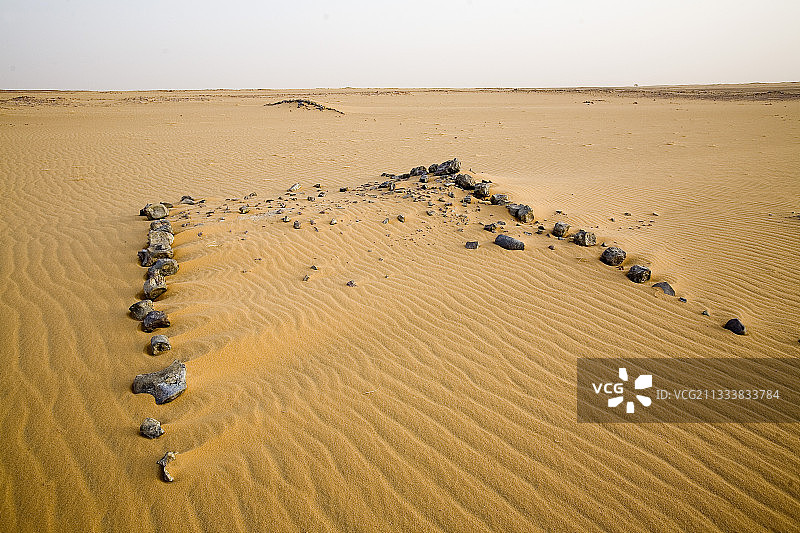 尼日尔泰内雷加杜法瓦沙漠化石层图片素材