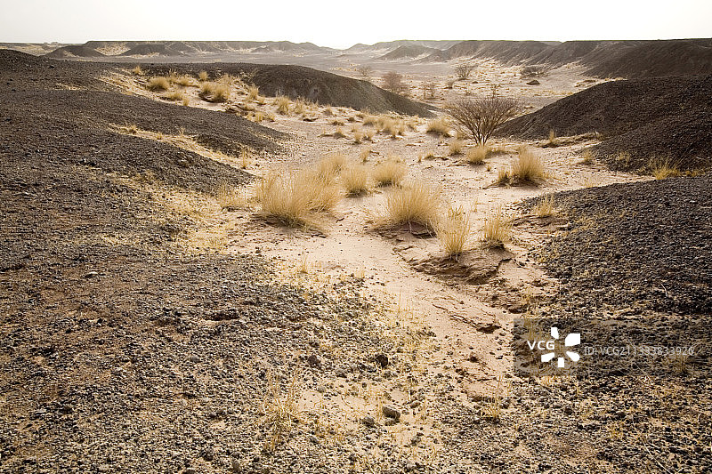 泰内雷尼日尔塔瓦奇沙漠的化石层图片素材