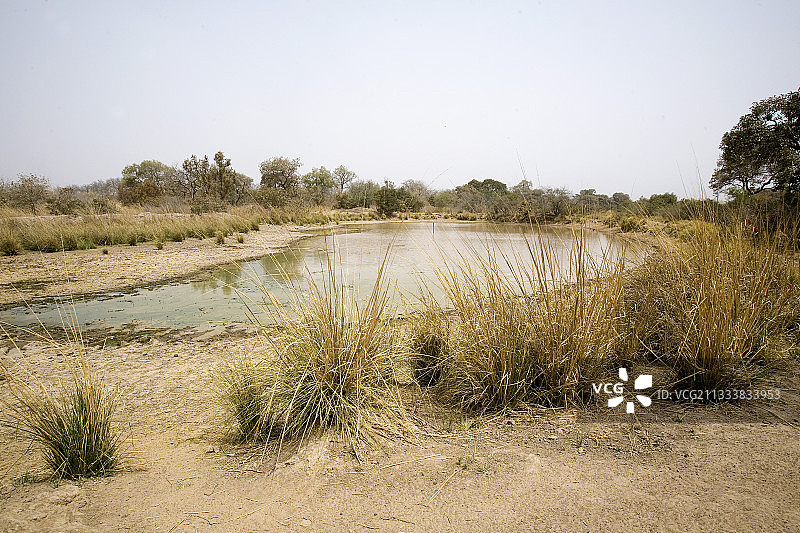尼日尔河W的临时河滨公园图片素材
