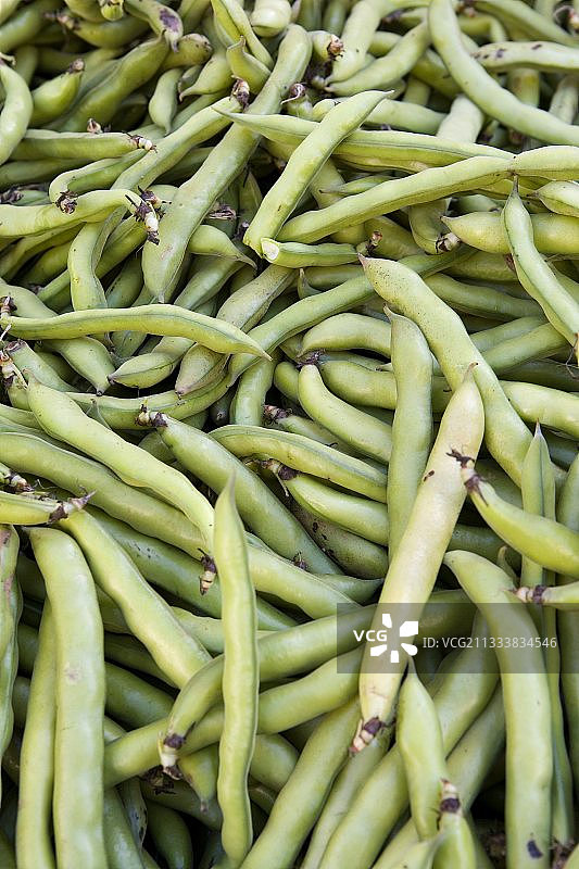 法国普罗旺斯市场上的新鲜蚕豆图片素材