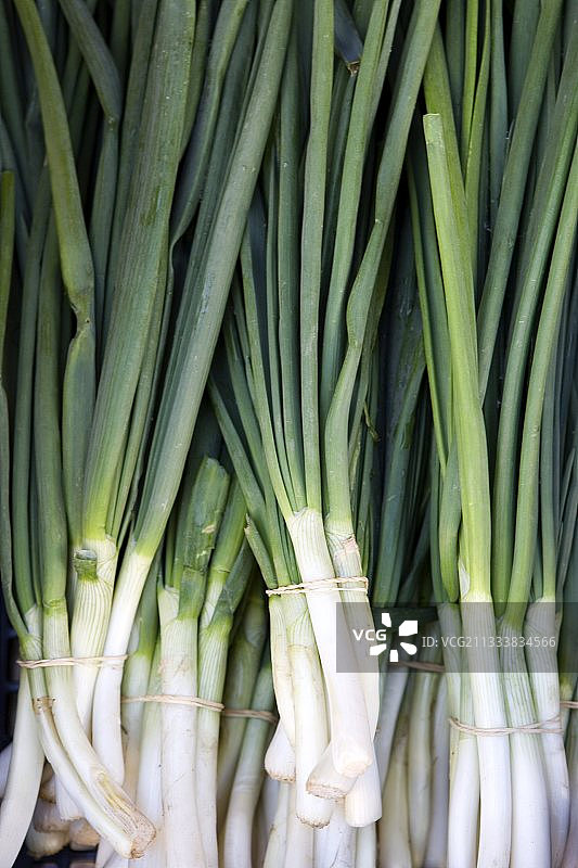 普罗旺斯市场上成捆的葱图片素材