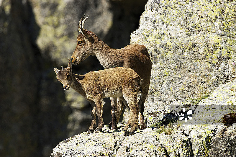 年度儿童图片素材