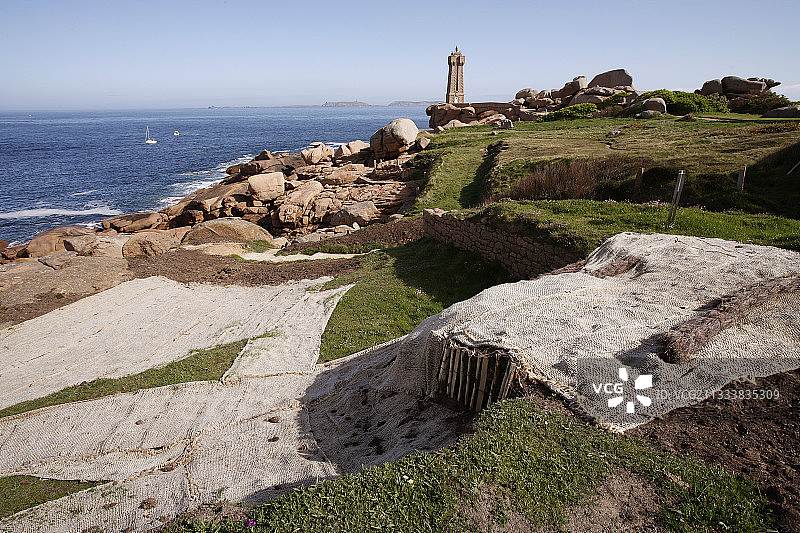用于保护恢复区和加速植被恢复的土工黄麻可生物降解桌布，海岸学院财产图片素材