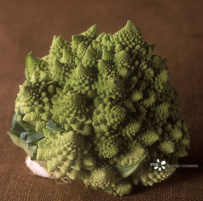 罗马花椰菜肖像图片素材