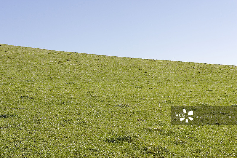 法国天然草甸图片素材