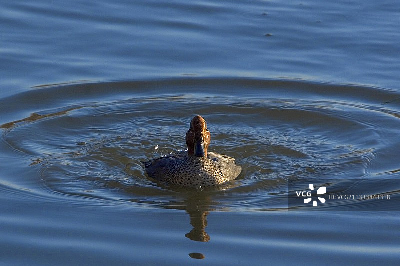 拉姆萨尔区域图片素材