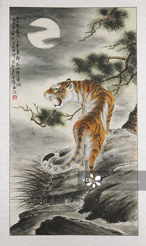 老虎：在武术和传统医学中占有非常重要的地位图片素材