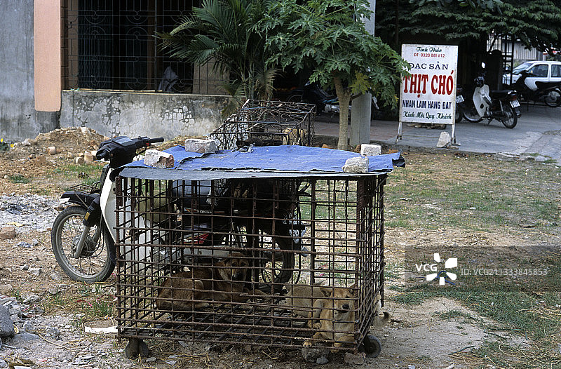 烤狗肉图片素材