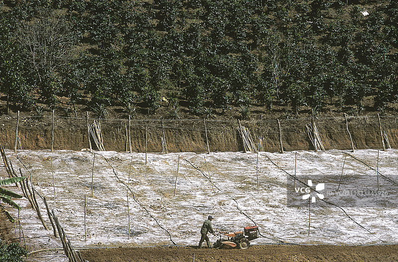 越南咖啡种植田准备图片素材