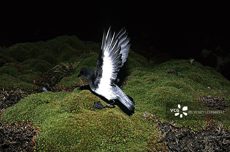 空白占位符图片素材