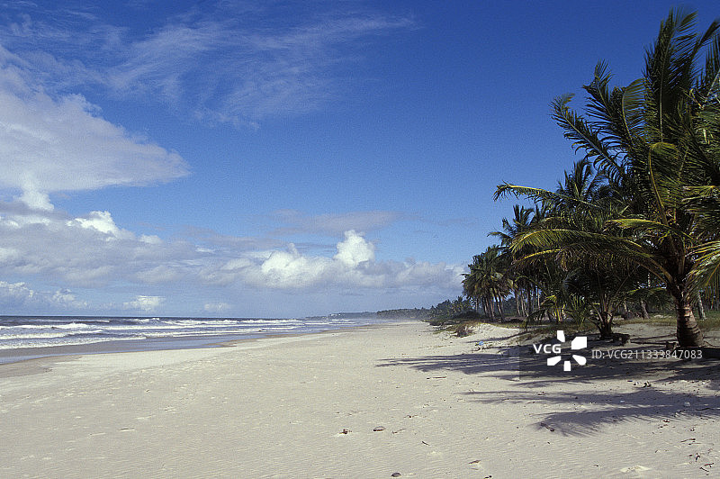 巴西巴伊亚的细腻沙滩图片素材