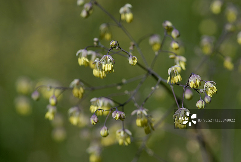 苏尔茨马特地区图片素材