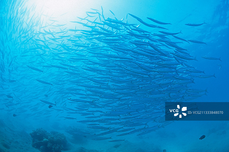 区域：Mersaalam图片素材