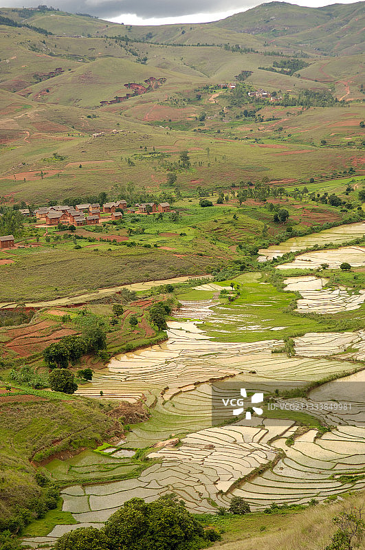 马达加斯加菲亚纳兰楚阿地区的稻田图片素材