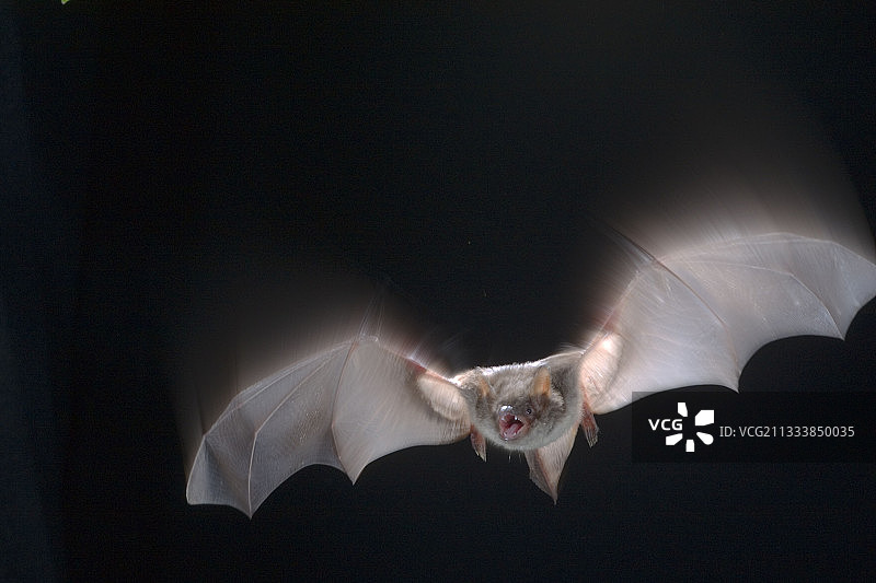 明斯特镇附近的地点图片素材