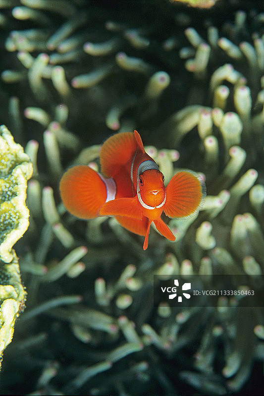 布纳肯岛景点图片素材