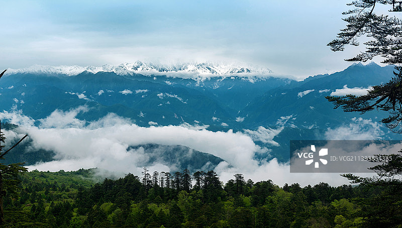 四川省雅安市石棉县王岗坪 雪山 云海 原始森林图片素材