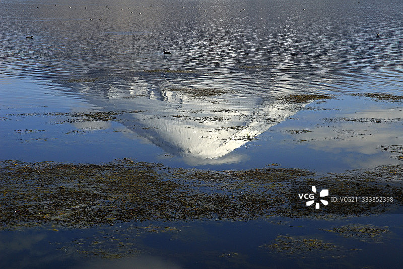 智利劳卡国家公园 Chungara湖和帕里纳科塔火山图片素材