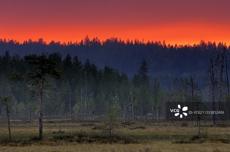 晚上11点左右，俄罗斯边境附近的无人区图片素材