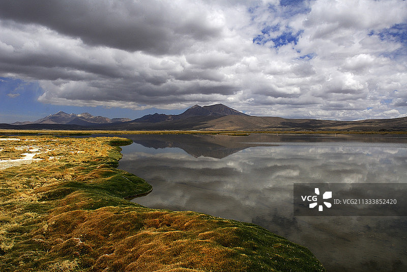 智利 Lauca 国家公园 Bofedal de Parinacota图片素材