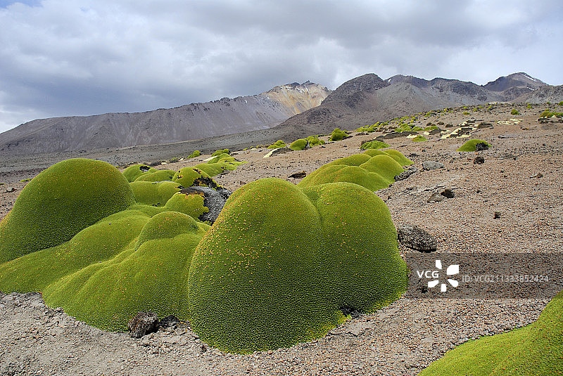 海拔：5220米图片素材