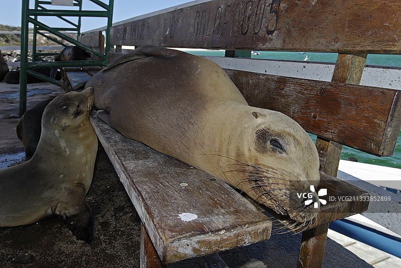 巴尔特拉港图片素材