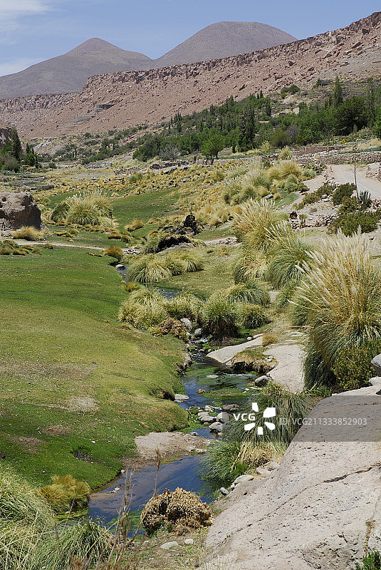 智利阿塔卡马卡斯帕纳的灌溉河村图片素材