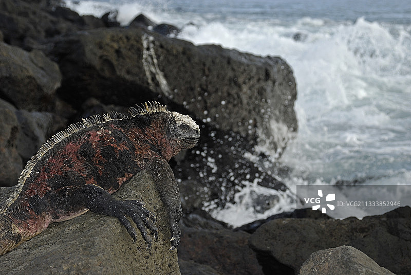 埃斯帕尼奥拉岛图片素材