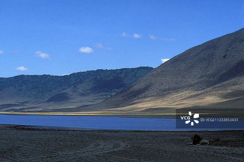 恩戈罗恩戈罗火山口（坦桑尼亚）图片素材