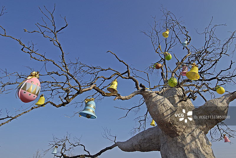 蒙贝利亚尔环岛上的这棵人造树图片素材