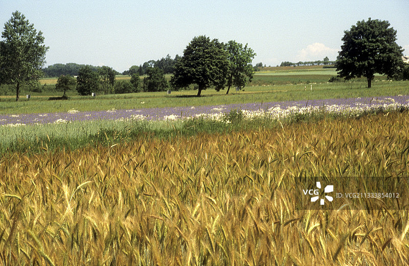 卡丘比亚风光图片素材