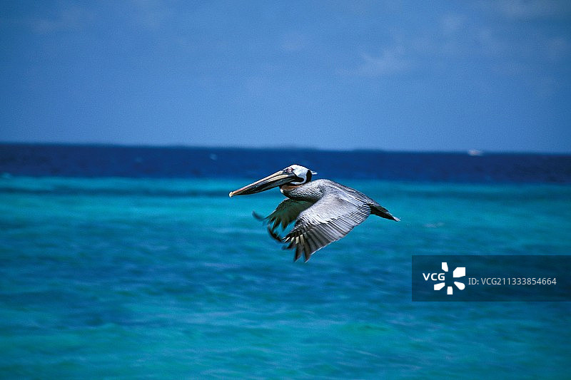 格兰罗克岛遗址图片素材