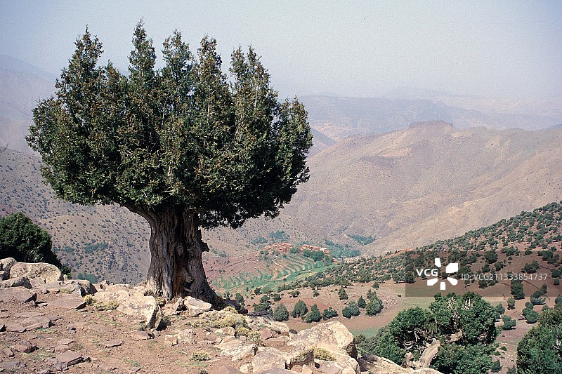 背景是塔切尔迪特村图片素材